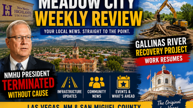 Meadow City Weekly Review June 10, 2026